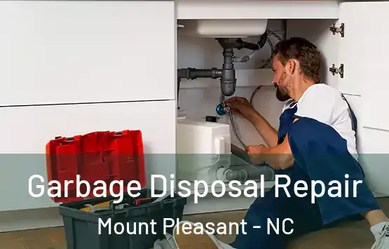  Garbage Disposal Repair Mount Pleasant - NC