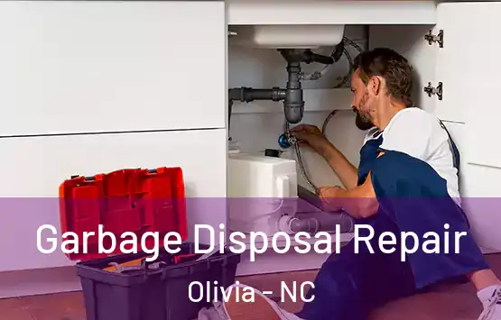  Garbage Disposal Repair Olivia - NC