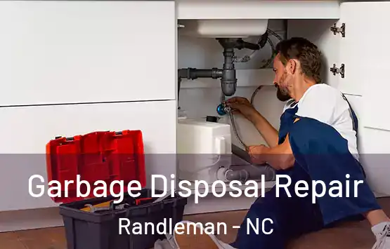  Garbage Disposal Repair Randleman - NC