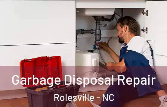 Garbage Disposal Repair Rolesville - NC