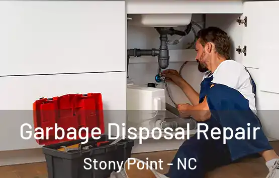  Garbage Disposal Repair Stony Point - NC
