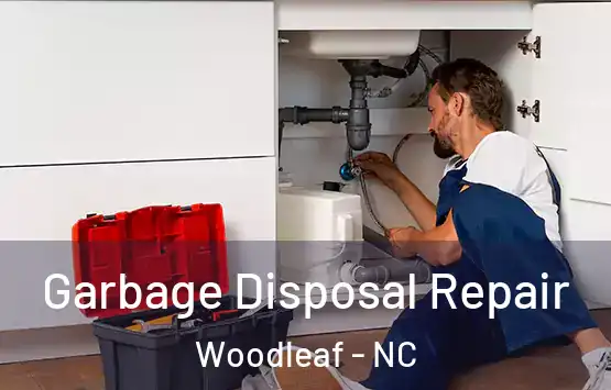  Garbage Disposal Repair Woodleaf - NC