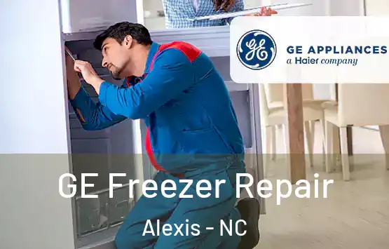  GE Freezer Repair Alexis - NC