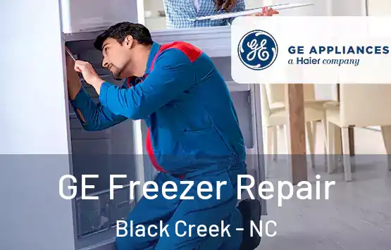  GE Freezer Repair Black Creek - NC