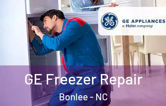  GE Freezer Repair Bonlee - NC