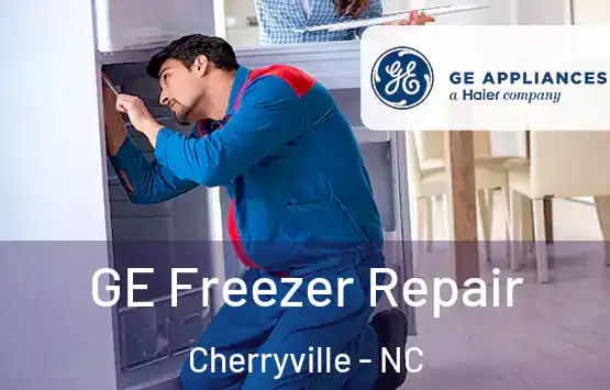  GE Freezer Repair Cherryville - NC