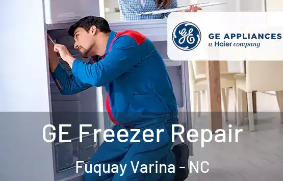  GE Freezer Repair Fuquay Varina - NC