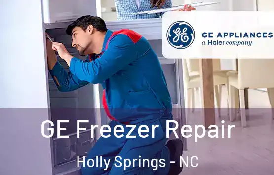  GE Freezer Repair Holly Springs - NC