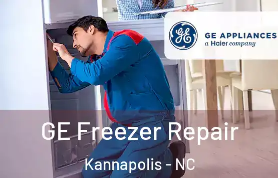  GE Freezer Repair Kannapolis - NC