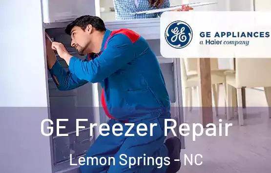  GE Freezer Repair Lemon Springs - NC