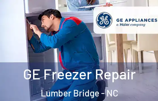  GE Freezer Repair Lumber Bridge - NC