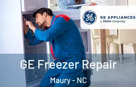  GE Freezer Repair Maury - NC