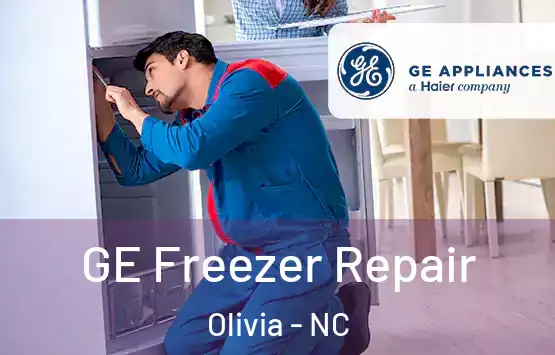  GE Freezer Repair Olivia - NC