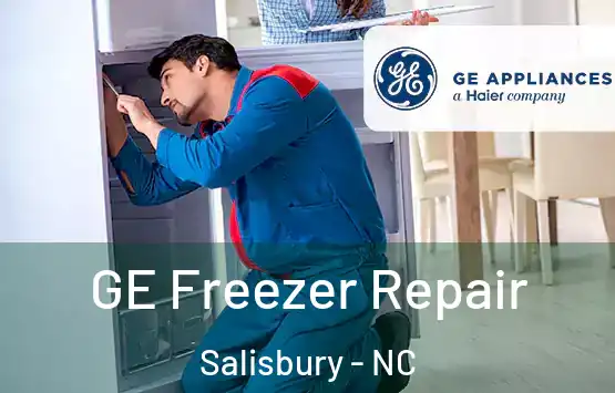  GE Freezer Repair Salisbury - NC
