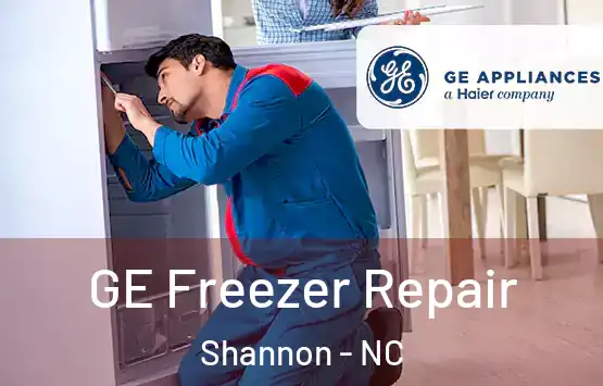  GE Freezer Repair Shannon - NC