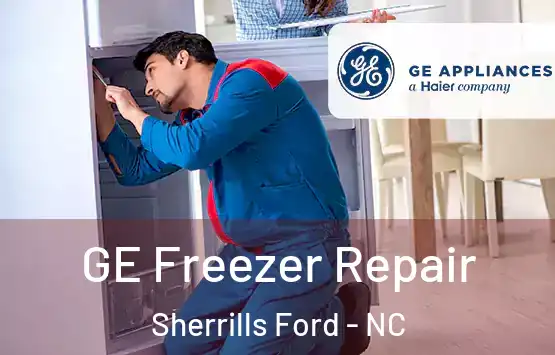  GE Freezer Repair Sherrills Ford - NC