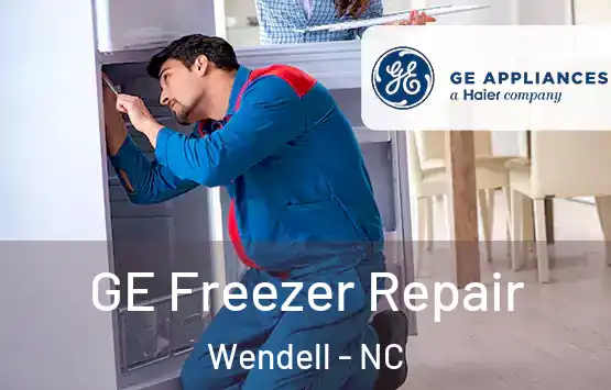  GE Freezer Repair Wendell - NC