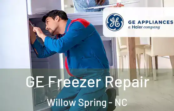  GE Freezer Repair Willow Spring - NC