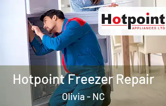  Hotpoint Freezer Repair Olivia - NC