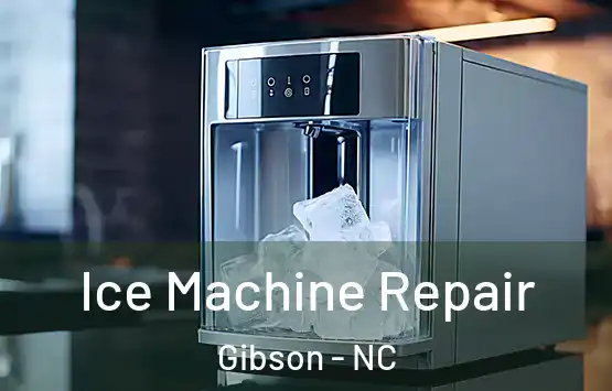  Ice Machine Repair Gibson - NC