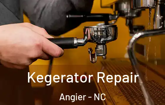  Kegerator Repair Angier - NC