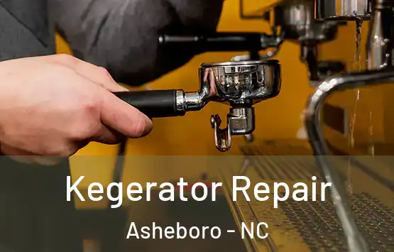  Kegerator Repair Asheboro - NC