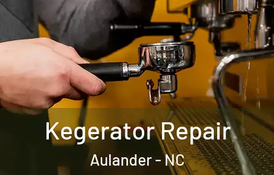  Kegerator Repair Aulander - NC