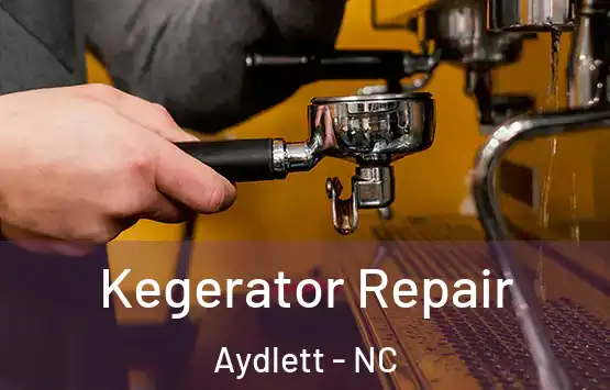  Kegerator Repair Aydlett - NC