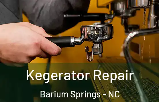  Kegerator Repair Barium Springs - NC