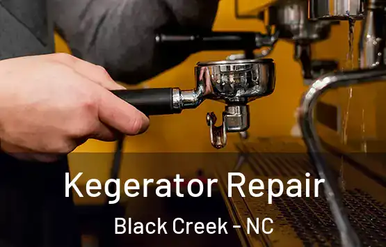  Kegerator Repair Black Creek - NC