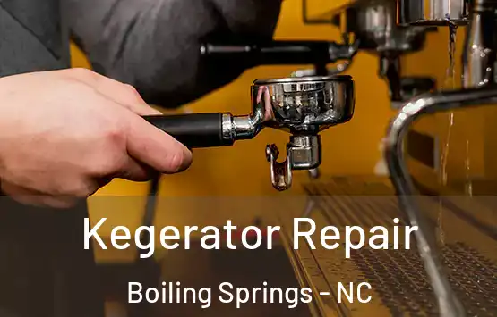  Kegerator Repair Boiling Springs - NC