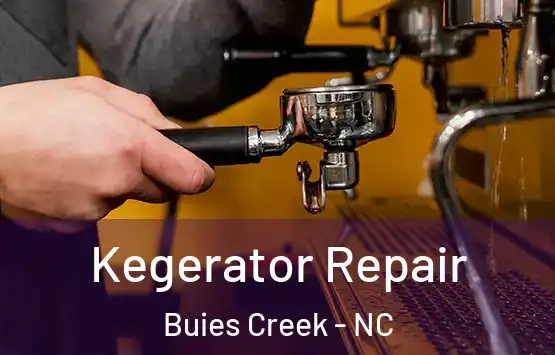  Kegerator Repair Buies Creek - NC