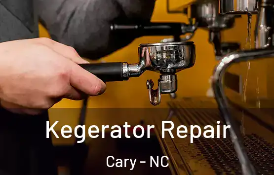  Kegerator Repair Cary - NC