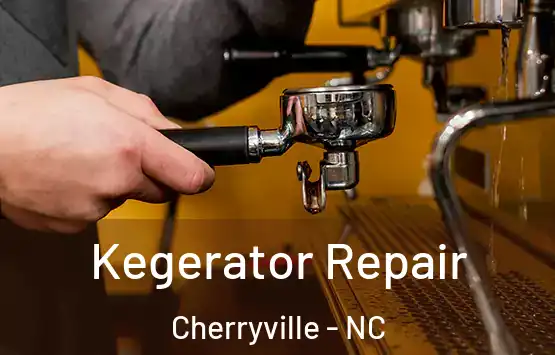  Kegerator Repair Cherryville - NC