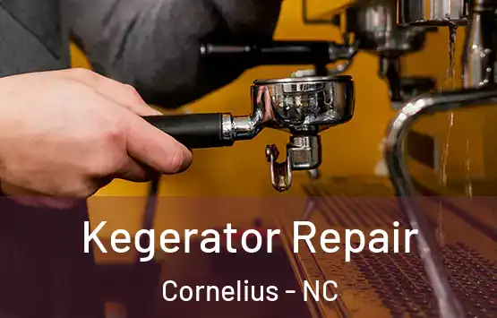  Kegerator Repair Cornelius - NC
