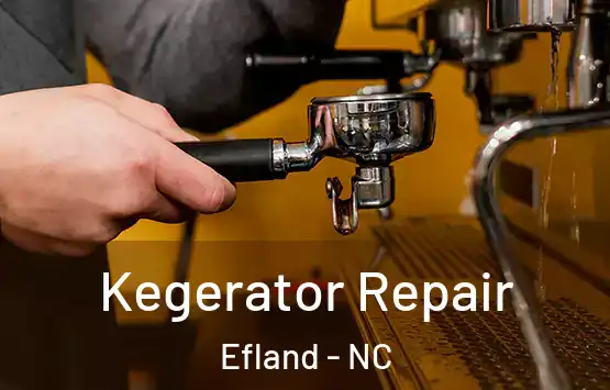  Kegerator Repair Efland - NC