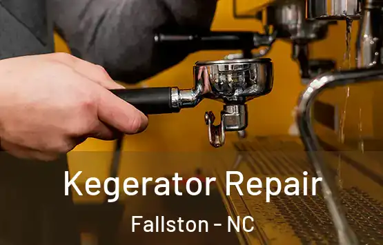  Kegerator Repair Fallston - NC