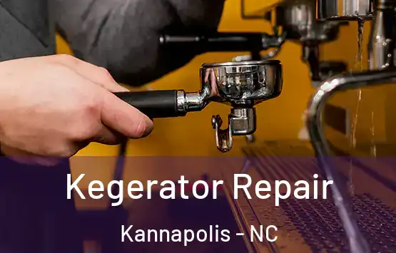  Kegerator Repair Kannapolis - NC