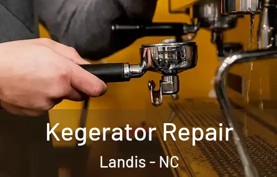  Kegerator Repair Landis - NC