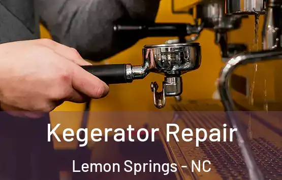  Kegerator Repair Lemon Springs - NC