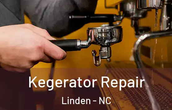  Kegerator Repair Linden - NC