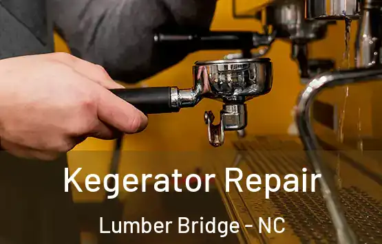  Kegerator Repair Lumber Bridge - NC