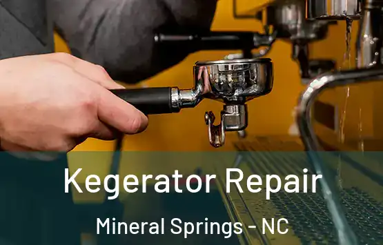  Kegerator Repair Mineral Springs - NC