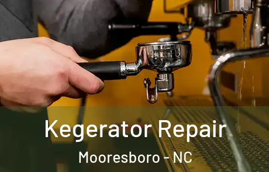  Kegerator Repair Mooresboro - NC