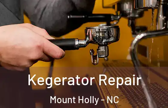  Kegerator Repair Mount Holly - NC