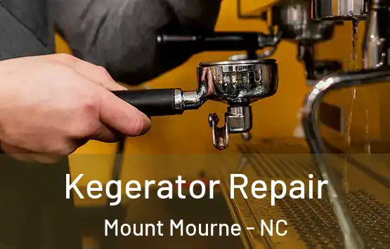  Kegerator Repair Mount Mourne - NC