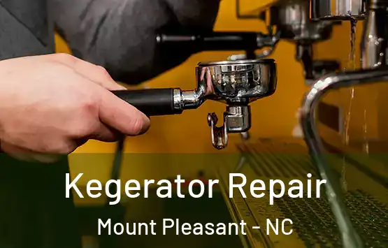  Kegerator Repair Mount Pleasant - NC
