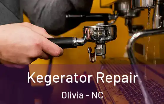  Kegerator Repair Olivia - NC