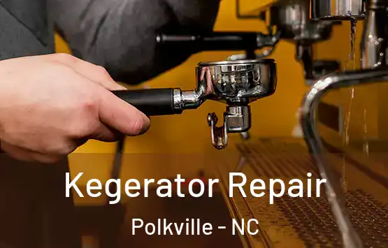  Kegerator Repair Polkville - NC