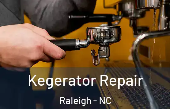  Kegerator Repair Raleigh - NC